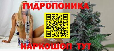 дмт Балахна