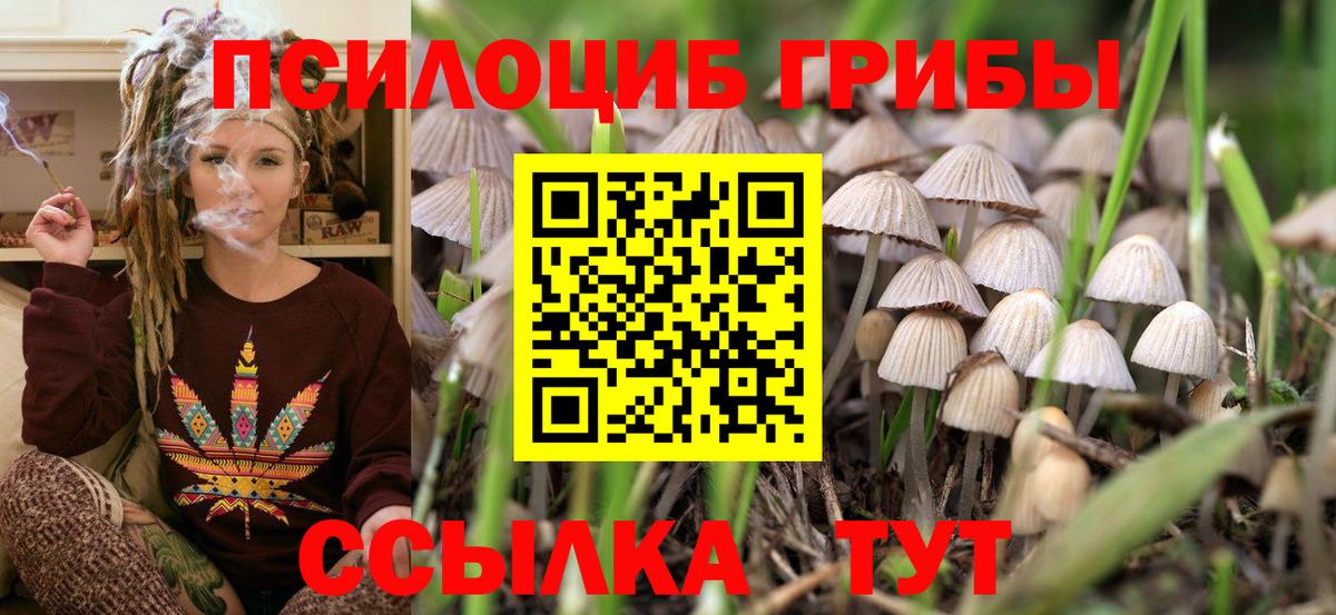 Галлюциногенные грибы GOLDEN TEACHER Гусь-Хрустальный
