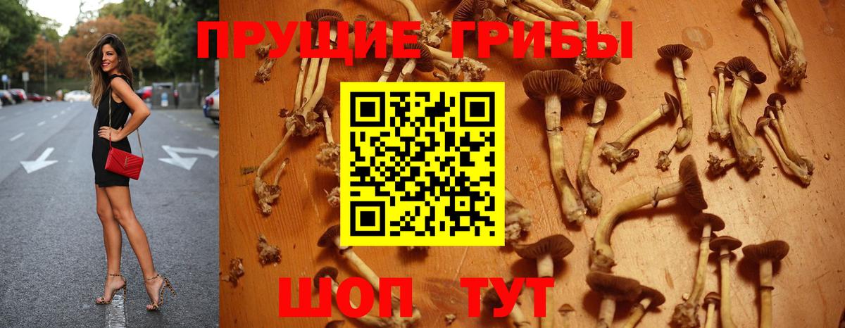 Гусь-Хрустальный  Галлюциногенные грибы Psilocybe  Вход с VPN  Галлюциногенные грибы GOLDEN TEACHER 